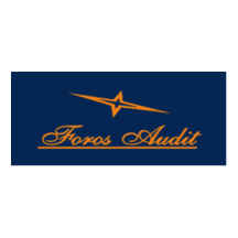 Форос Аудит