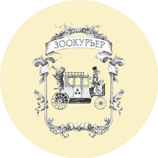 Кононыхина Е.В.