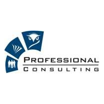 Профессиональный Консалтинг