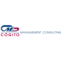 Когито менеджмент консалтинг