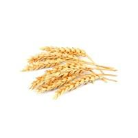 Средняя Волга