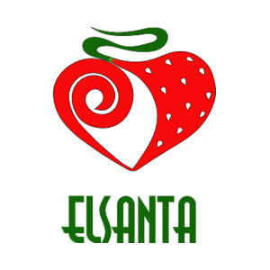 Эльсанта