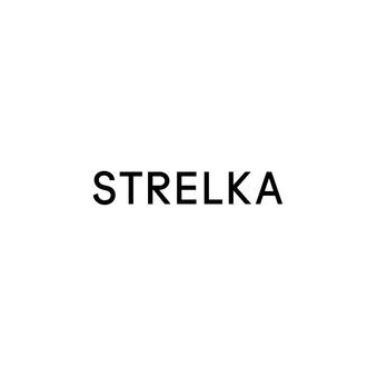 Институт медиа, дизайна и архитектуры Стрелка