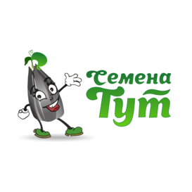 Семена Тут