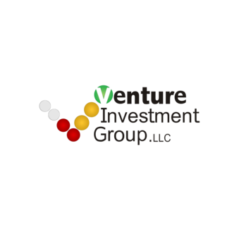 Venture Investment Group