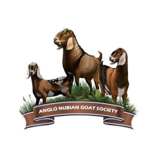 ZOO MIR