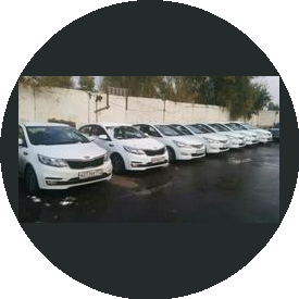 Саргин А. В.