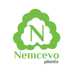 Плодовый коллекционный питомник Немцево