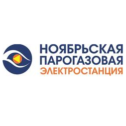 Ноябрьская ПГЭ