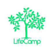 Лагерь по профориентации и самоопределению LifeCamp
