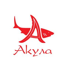 Веб студия Акула