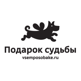 Подарок судьбы