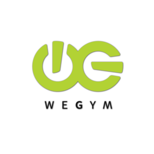 Сеть фитнес-клубов WeGym