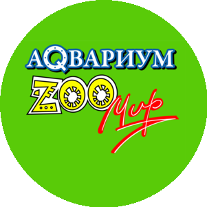 Чинейкин Д.Ю.