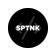 Sputnik