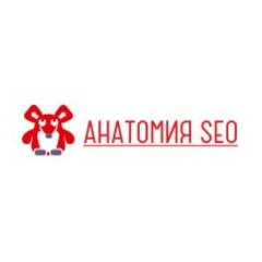 Анатомия СЕО