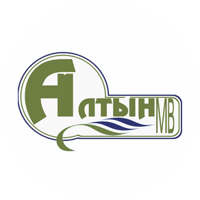 Алтын МВ
