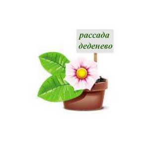 Черносвитова Татьяна