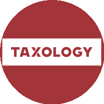 Юридическая компания «TAXOLOGY»