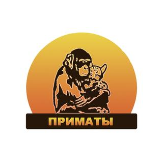 Приматы