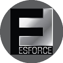 ESforce Holding
