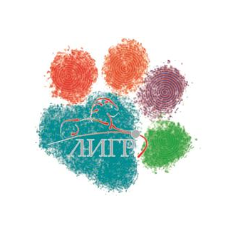 ДЮСШ №1 ЛИГР