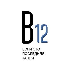 Управляющая компания В12