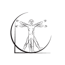 DaVinci Consulting Solutions