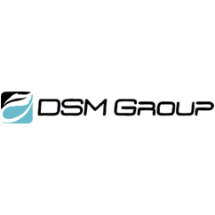 DSM Group