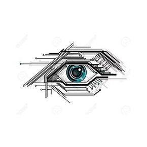 Гаврилин Е. В.