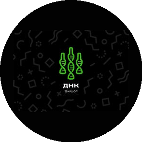 Гамаюнов А.А.