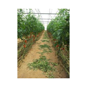 Фермерские Теплицы