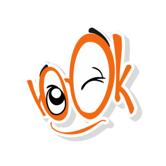 Южная оптическая компания