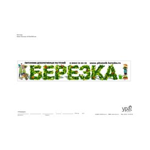 ПИТОМНИК БЕРЕЗКА