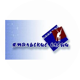 Ямальские олени