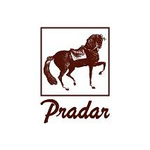 Большой Международный Конный Клуб «Прадар»