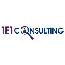 1E1 Consulting