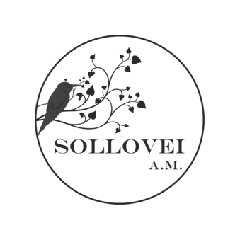 Sollovei A.M (ТМ Home Info Almaty)