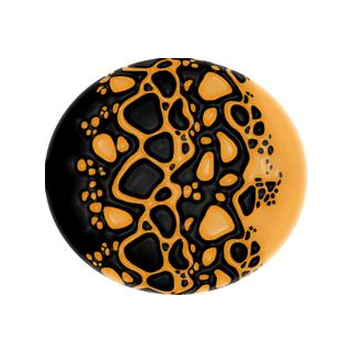 Два полушария