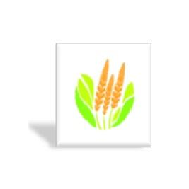 Акцент Агро