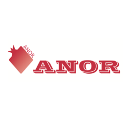 АНОР