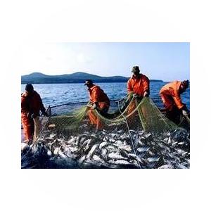 Трудовая компания-ПНЦТ