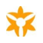 CELEBRITY STYLE IRODAT швейная компания