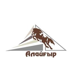 Совместное предприятие Алайгыр