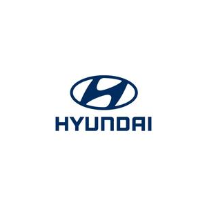 Hyundai Truck and Bus Rus