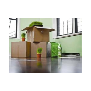 Профессиональный Переезд