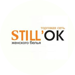 Шульгина Анастасия Владимировна, Компания Still'OK