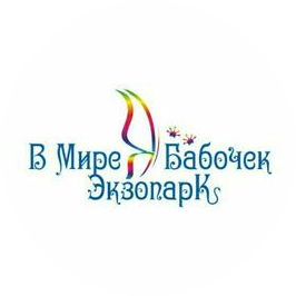 Батинсиб