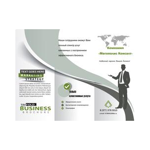 Мегаполис Консалт