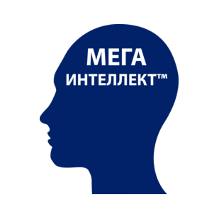 Интеллект ПВ